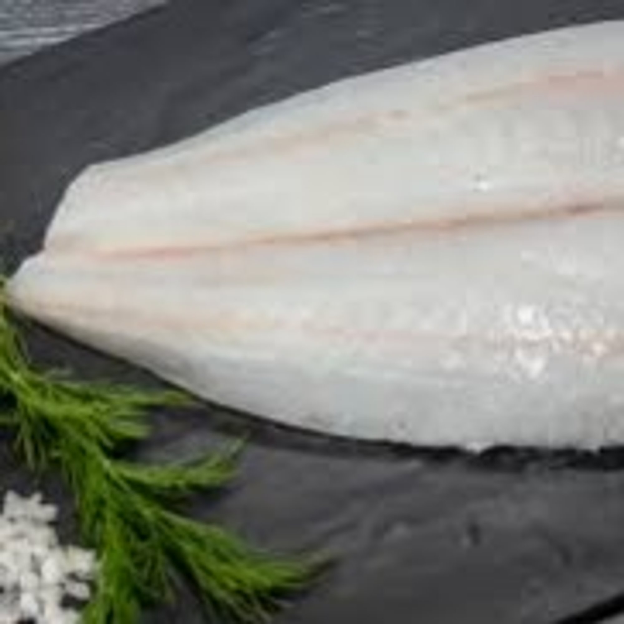 Flounder by the pound