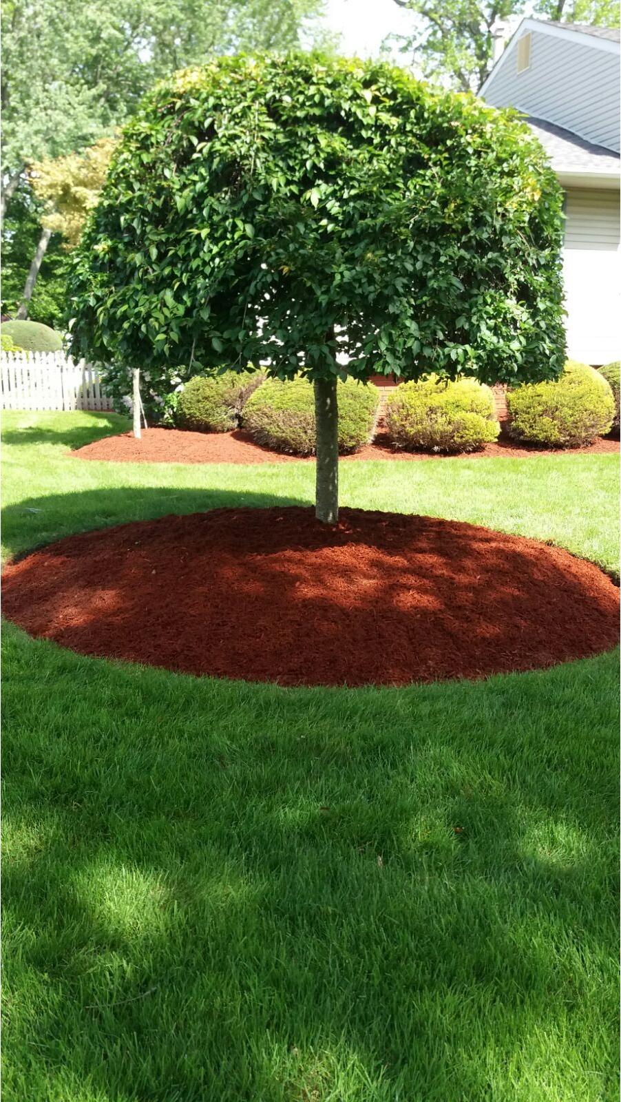 All Jersey Landscaping Inc. Photo