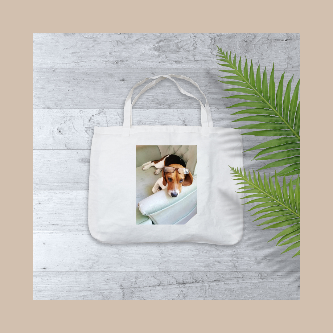 Alice Design Store Image