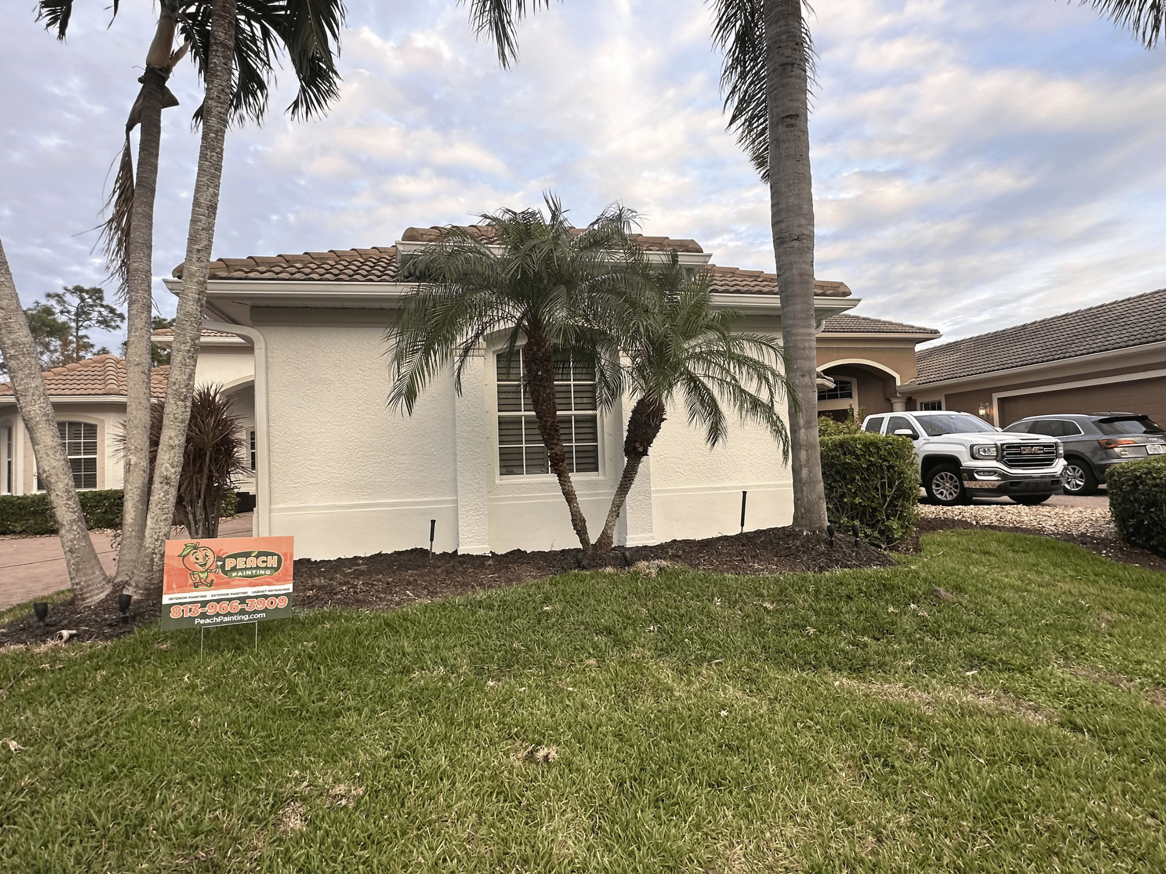 Peach Painting Image