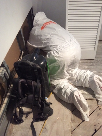 Images SERVPRO of Miami Beach