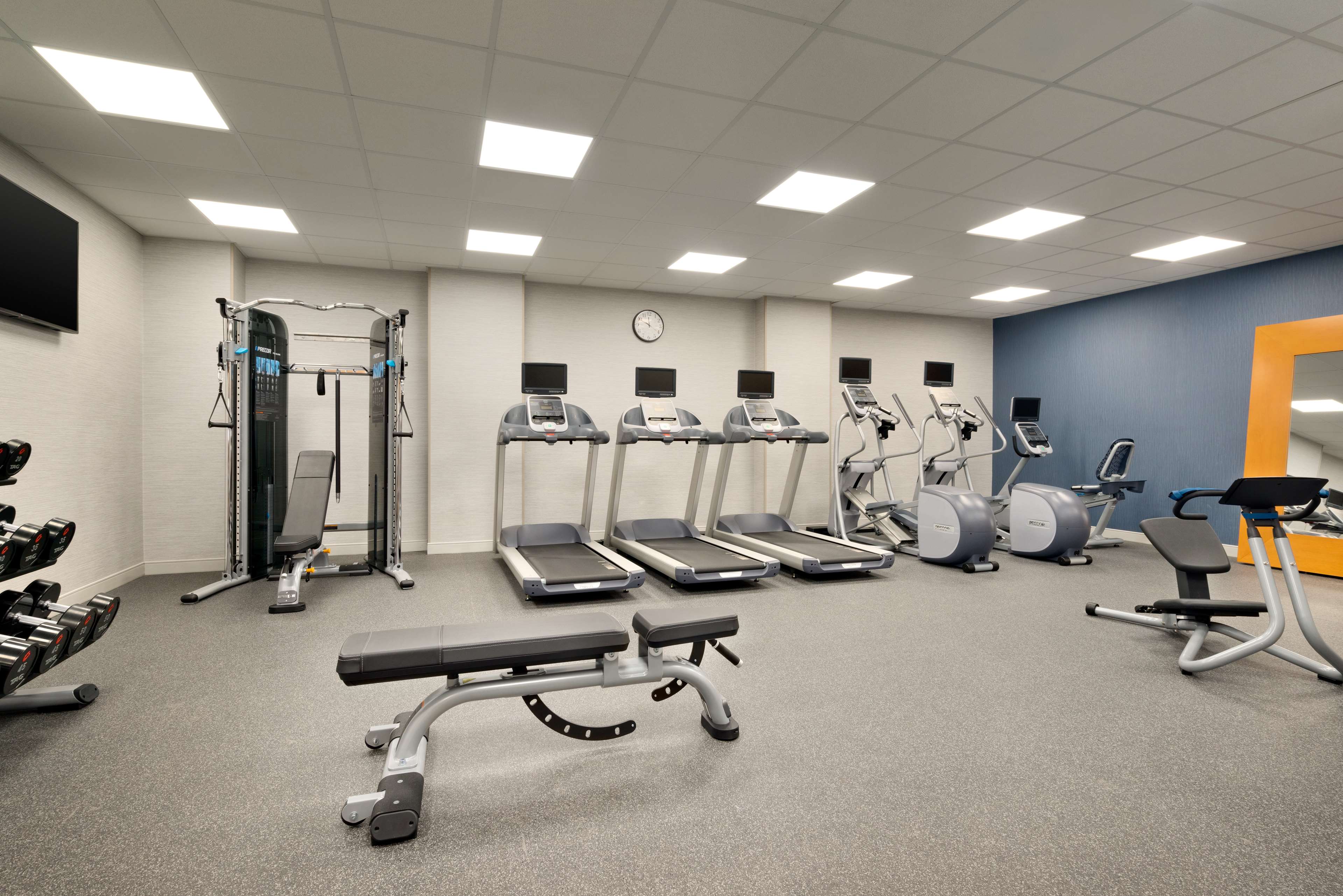 Health club  fitness center  gym