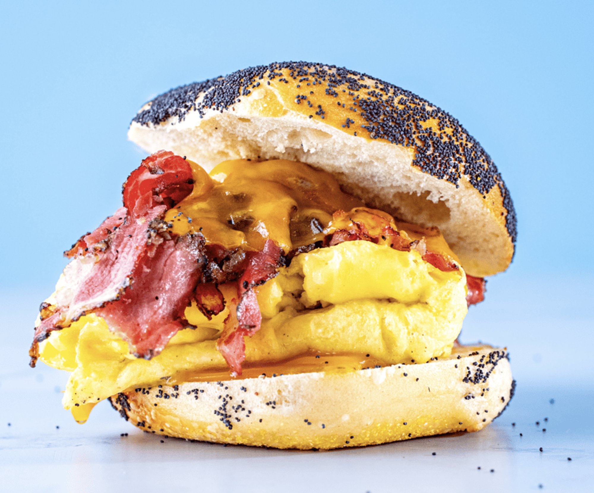 Pastrami, Egg, & Cheese