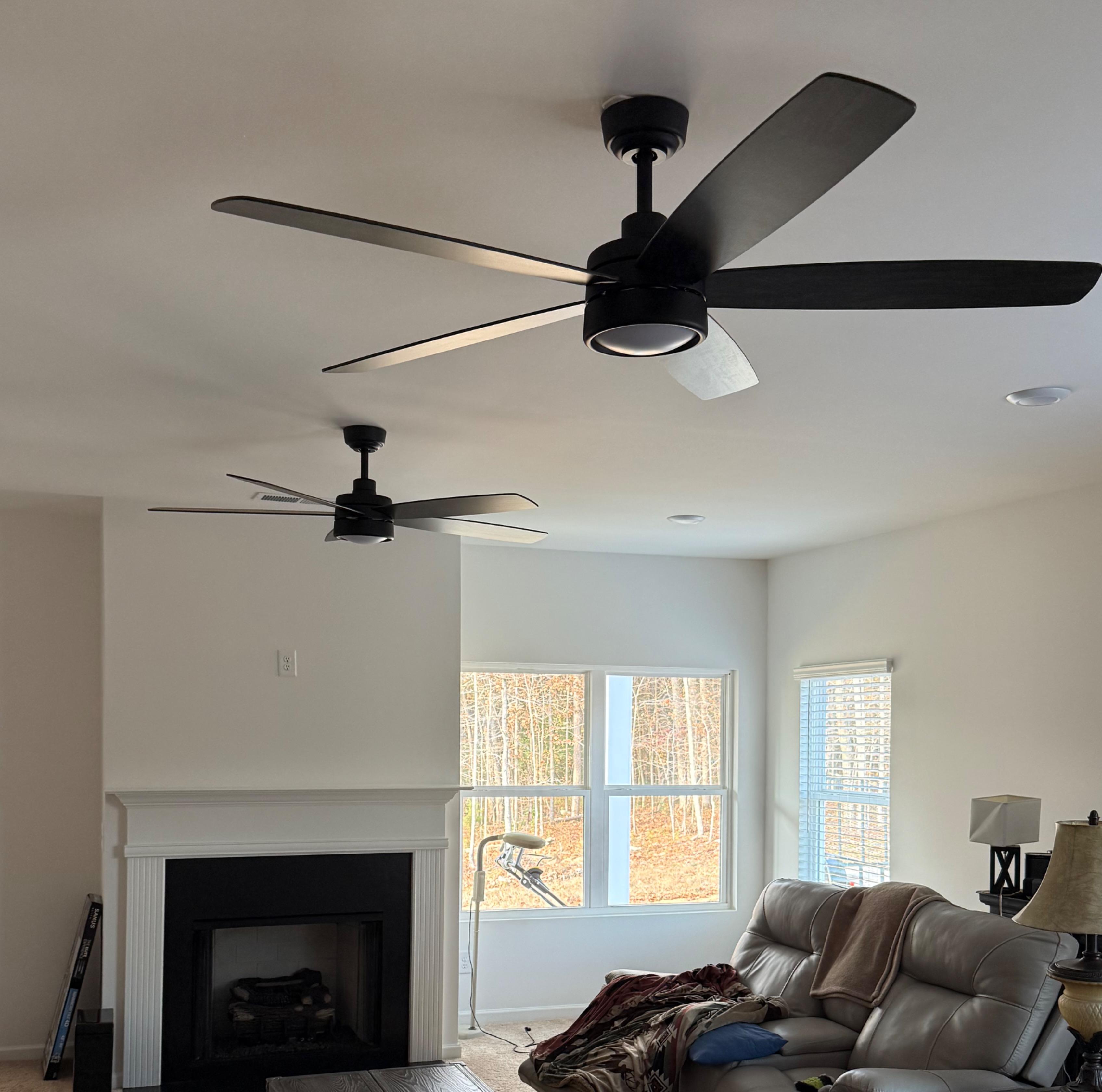 Phoenix Electrical Image