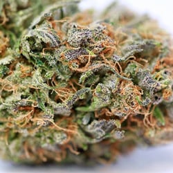 Green Dot LA 24 Hrs