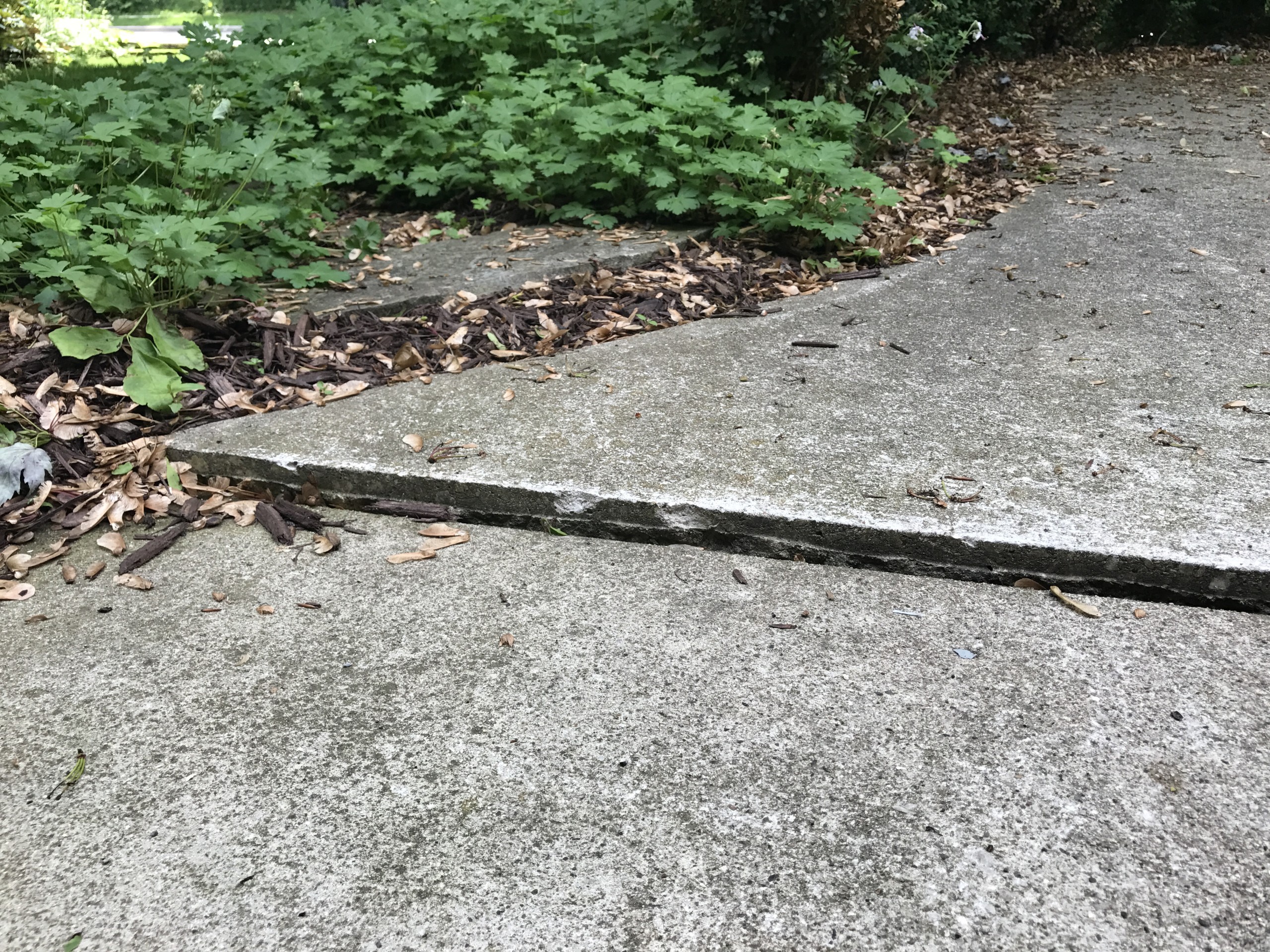 Ox Foundation Solutions Image