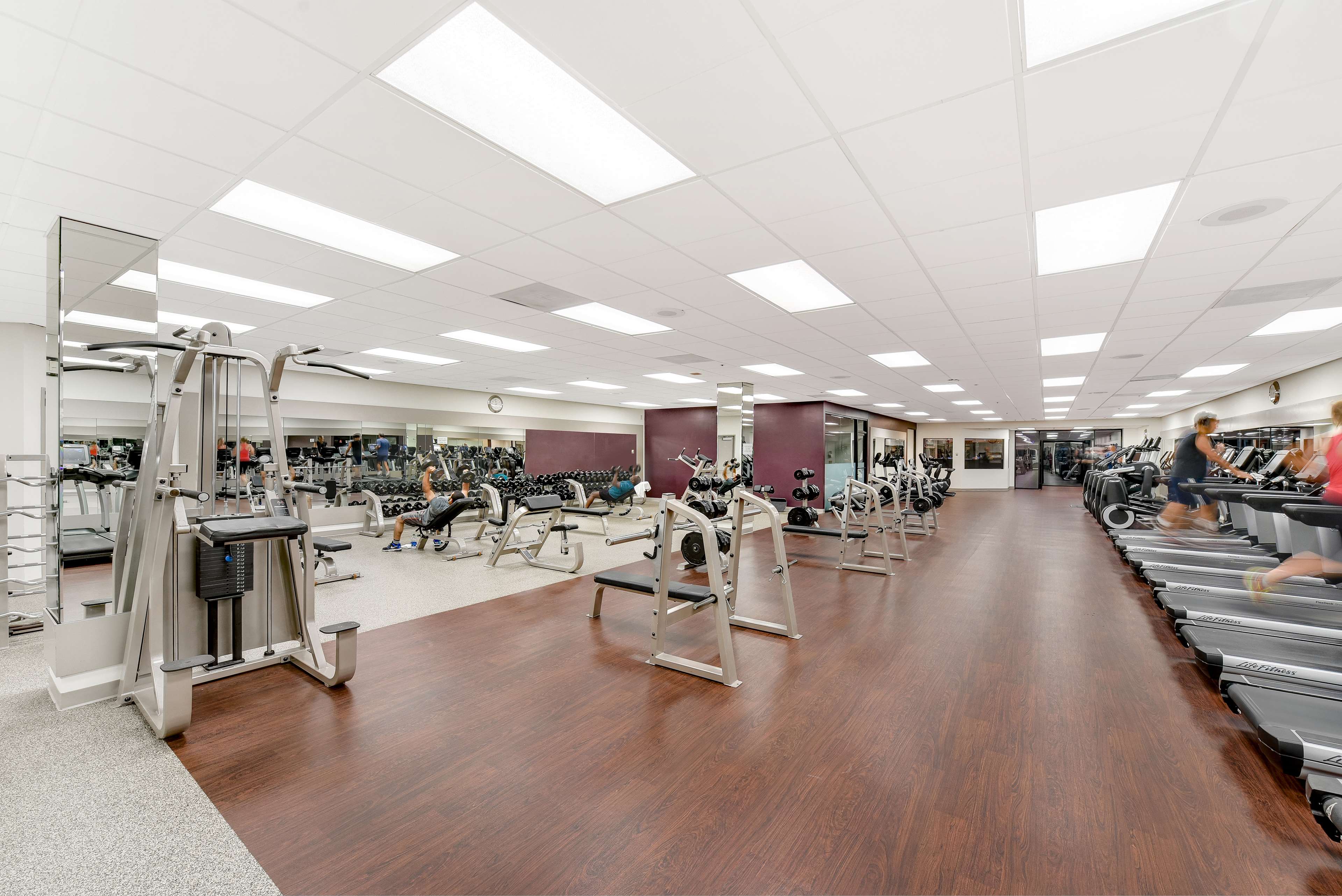 Health club  fitness center  gym