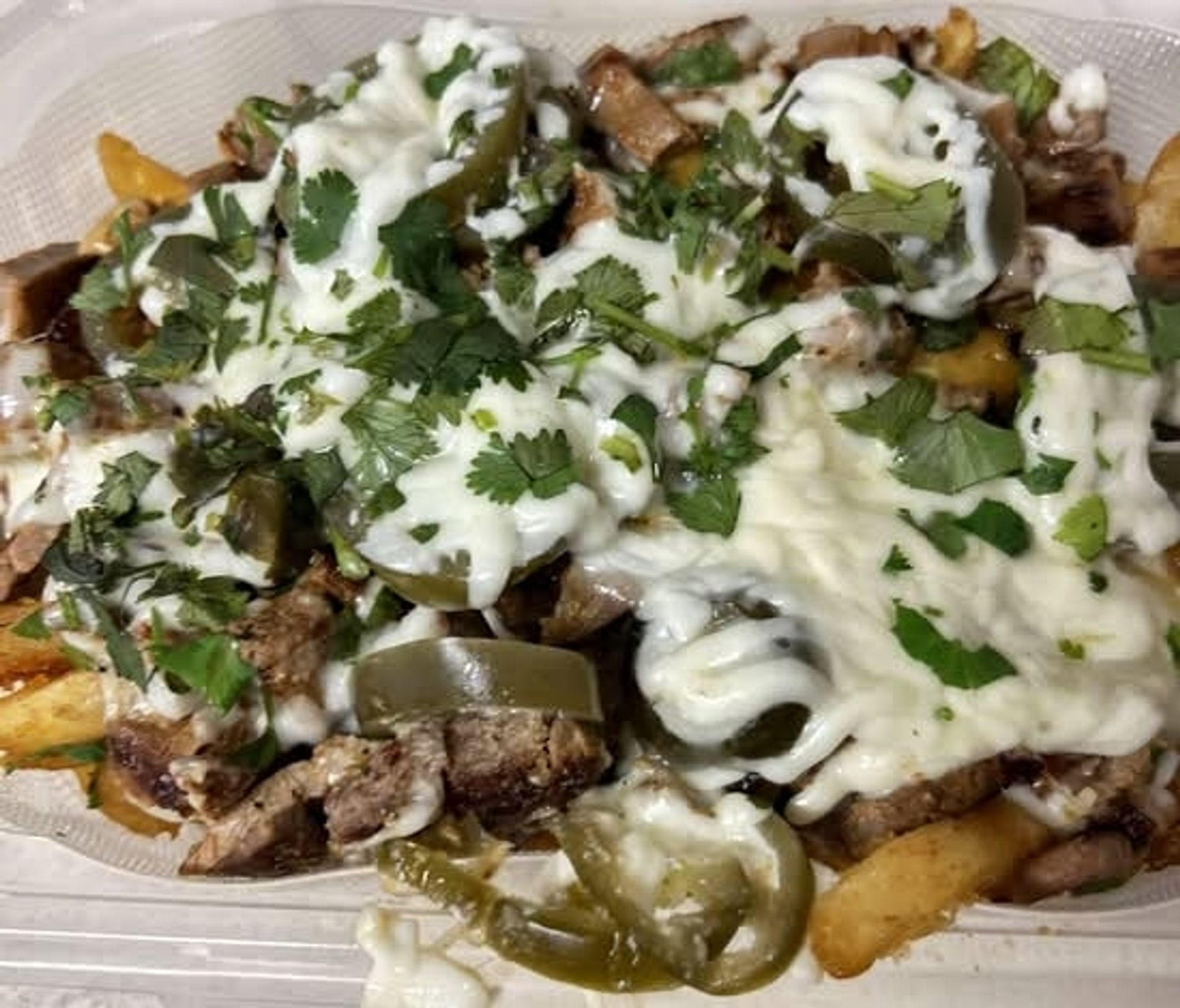 Carne Asada Loaded Fries