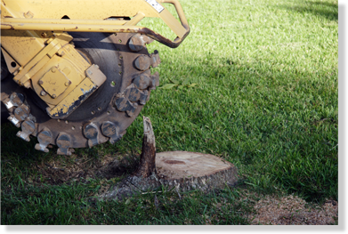Balfour Landscape & Tree Service Image