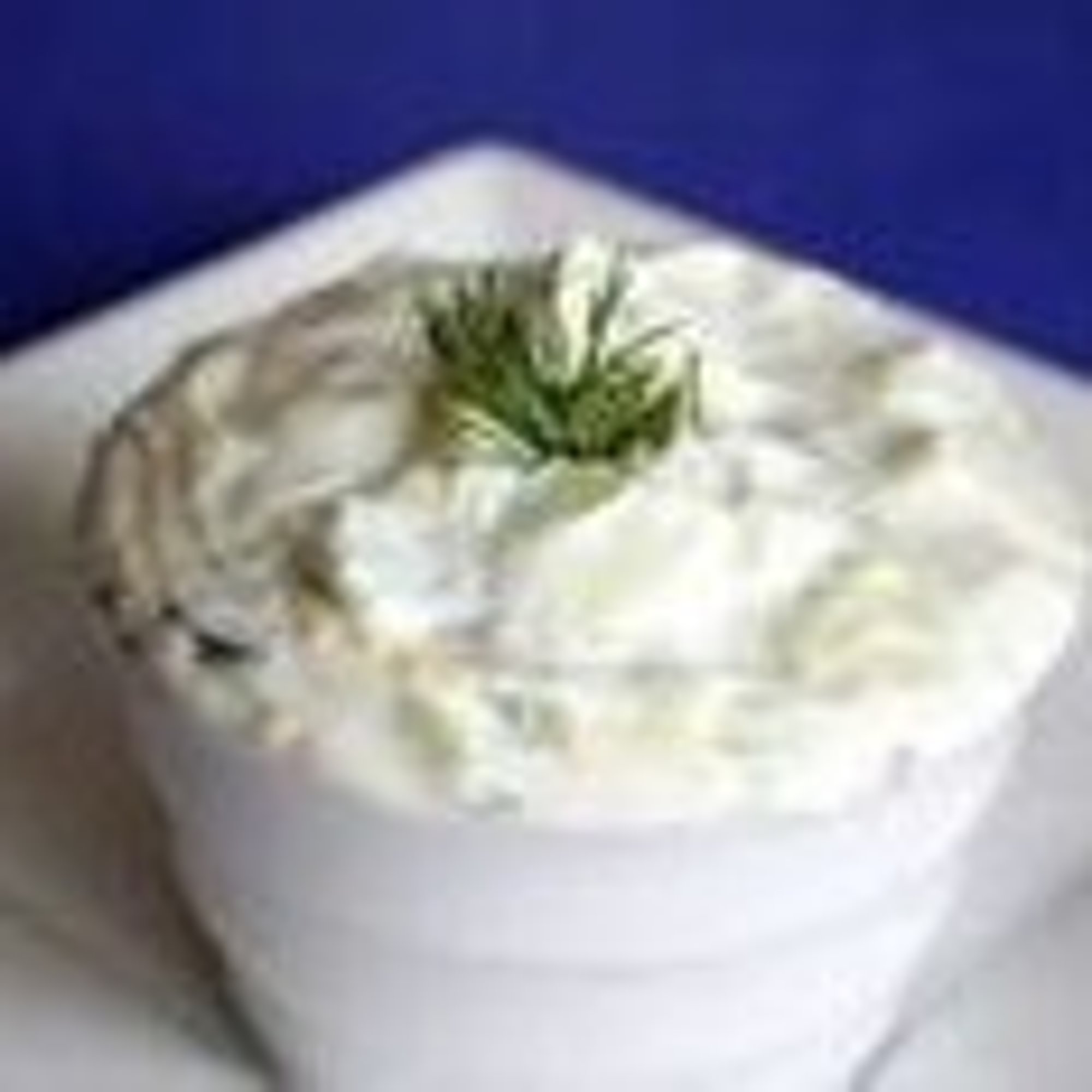 Tzatizki Sauce