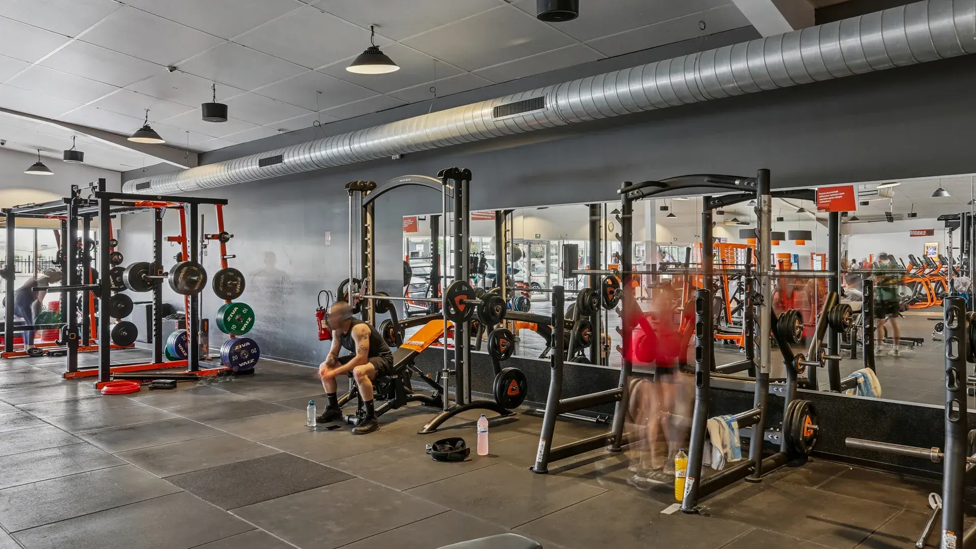 Miniature de la galerie