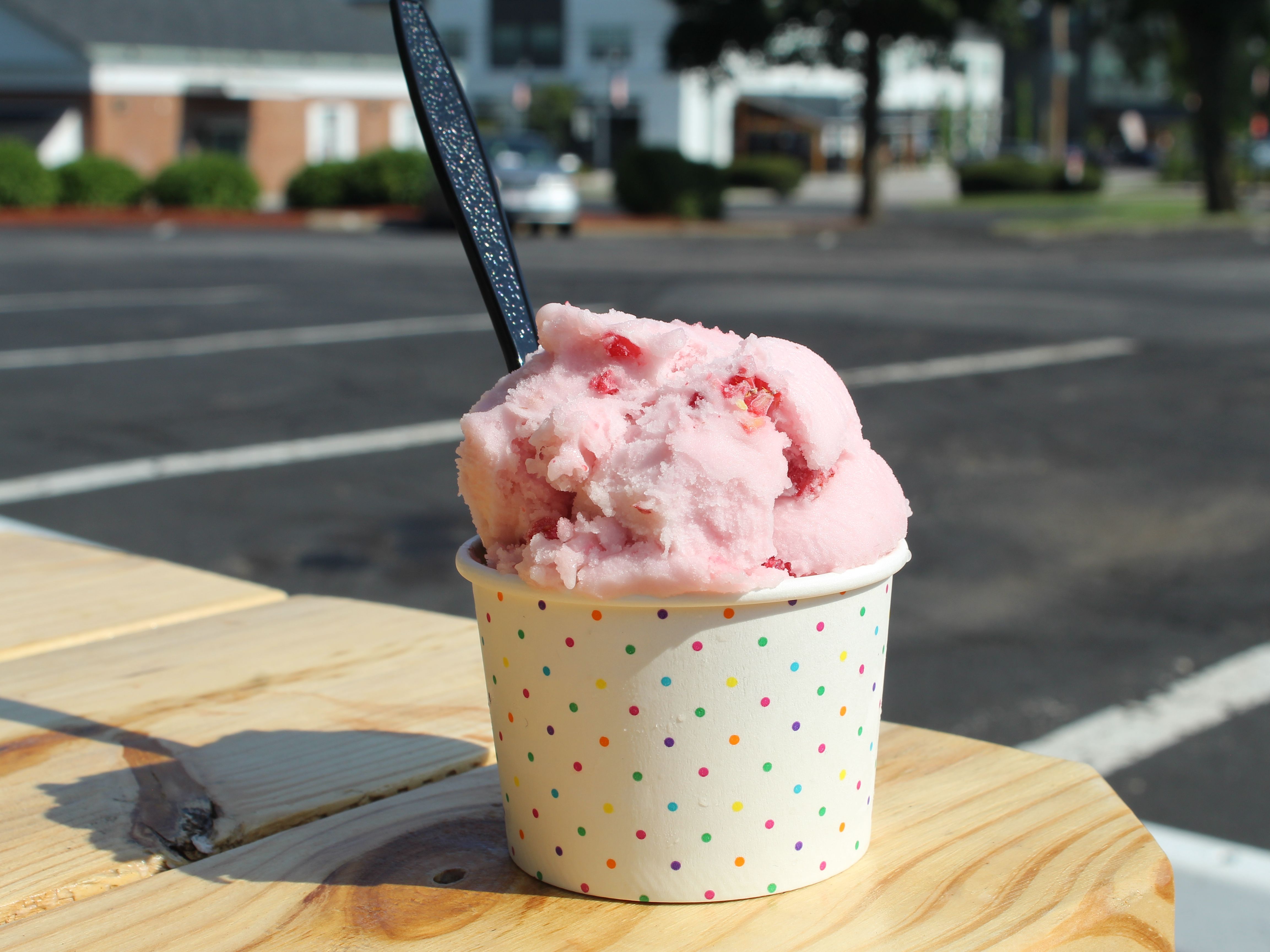 Raspberry Sorbet