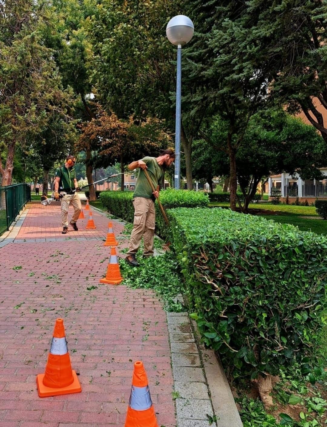 Galería en miniatura