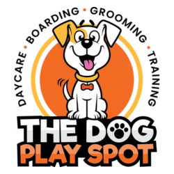 The Dog Play Spot