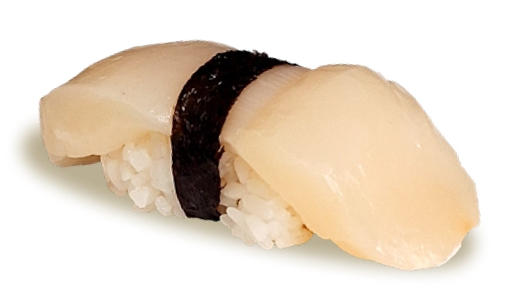 Scallop