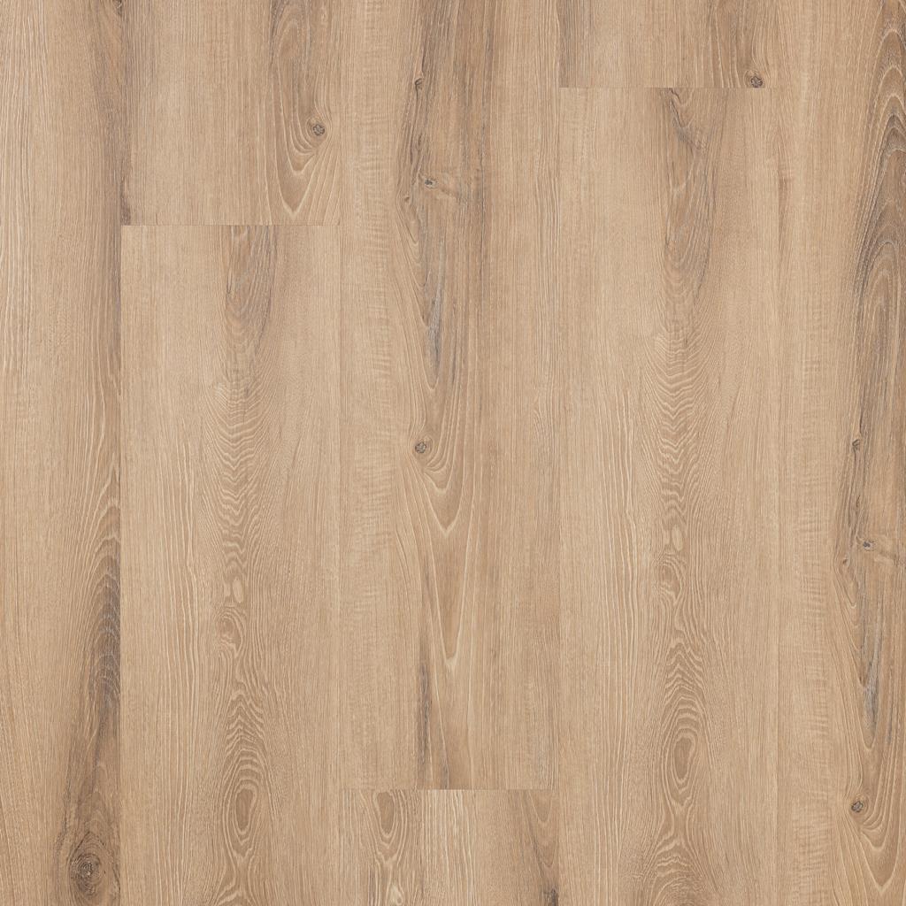 The European Company Image