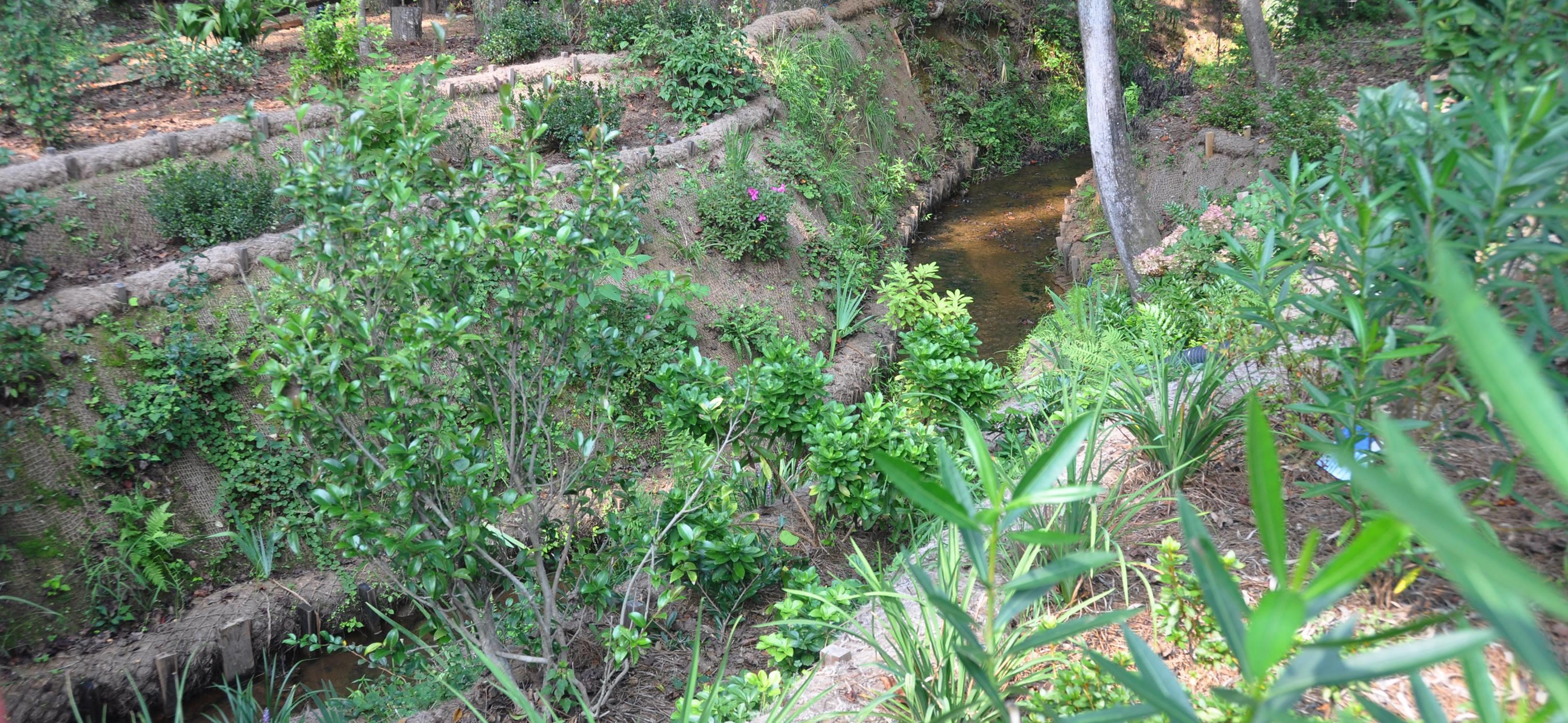 Rolanka International Incorpor Logo