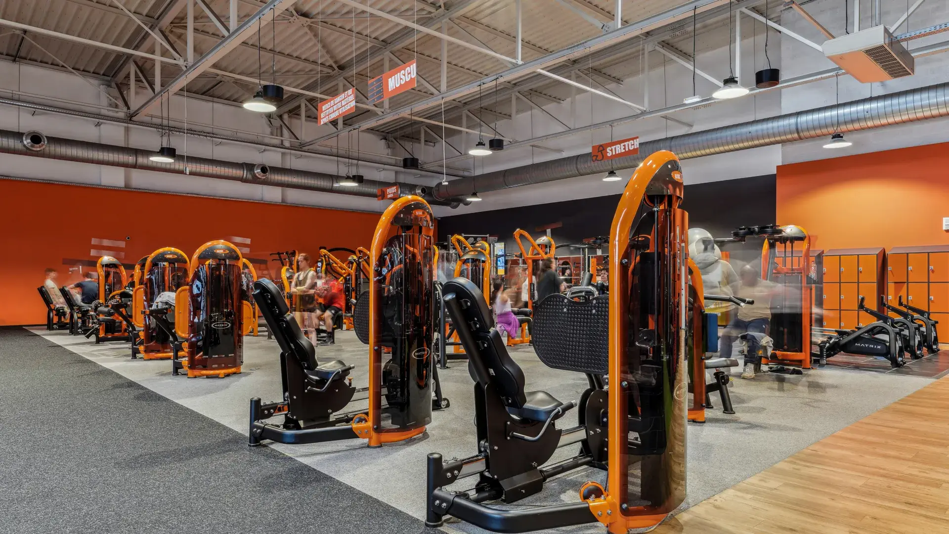 Miniature de la galerie