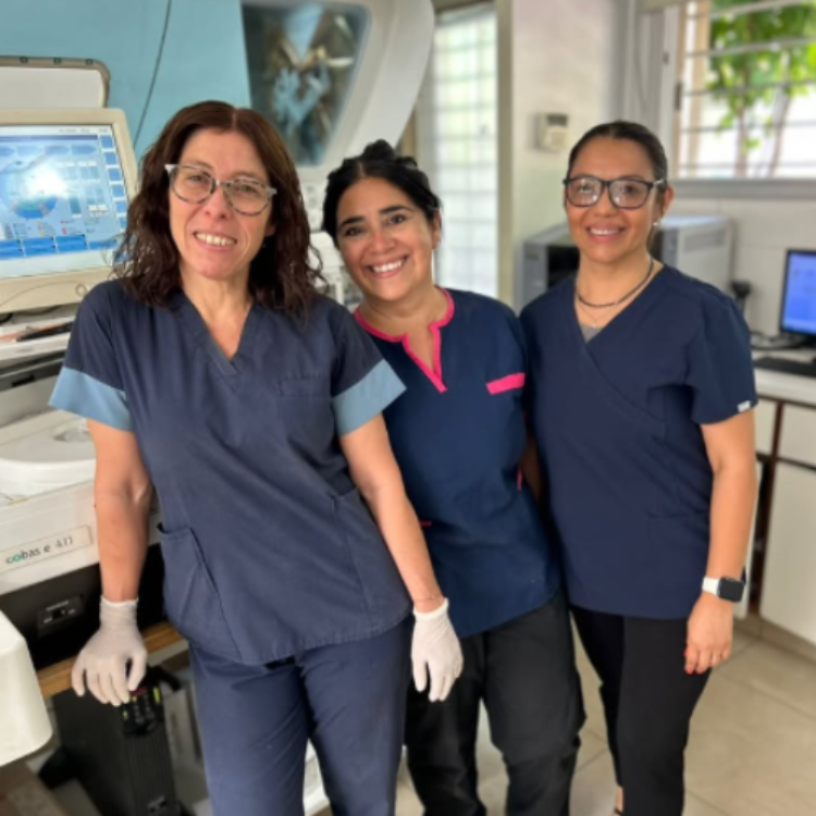 Galería en miniatura