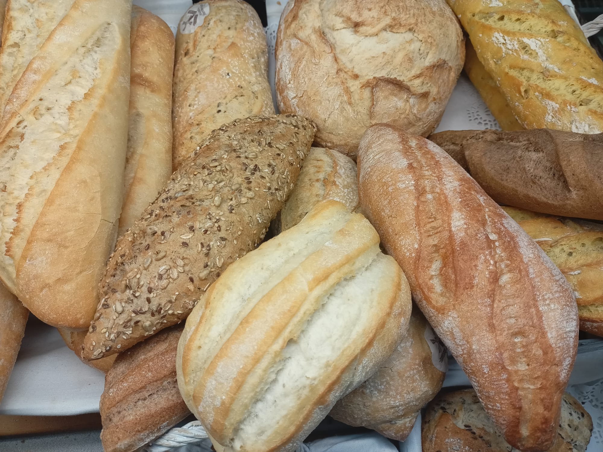 Galería en miniatura