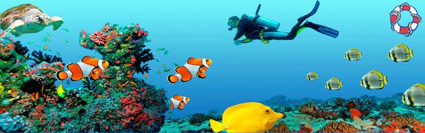 Images Ocean Dental