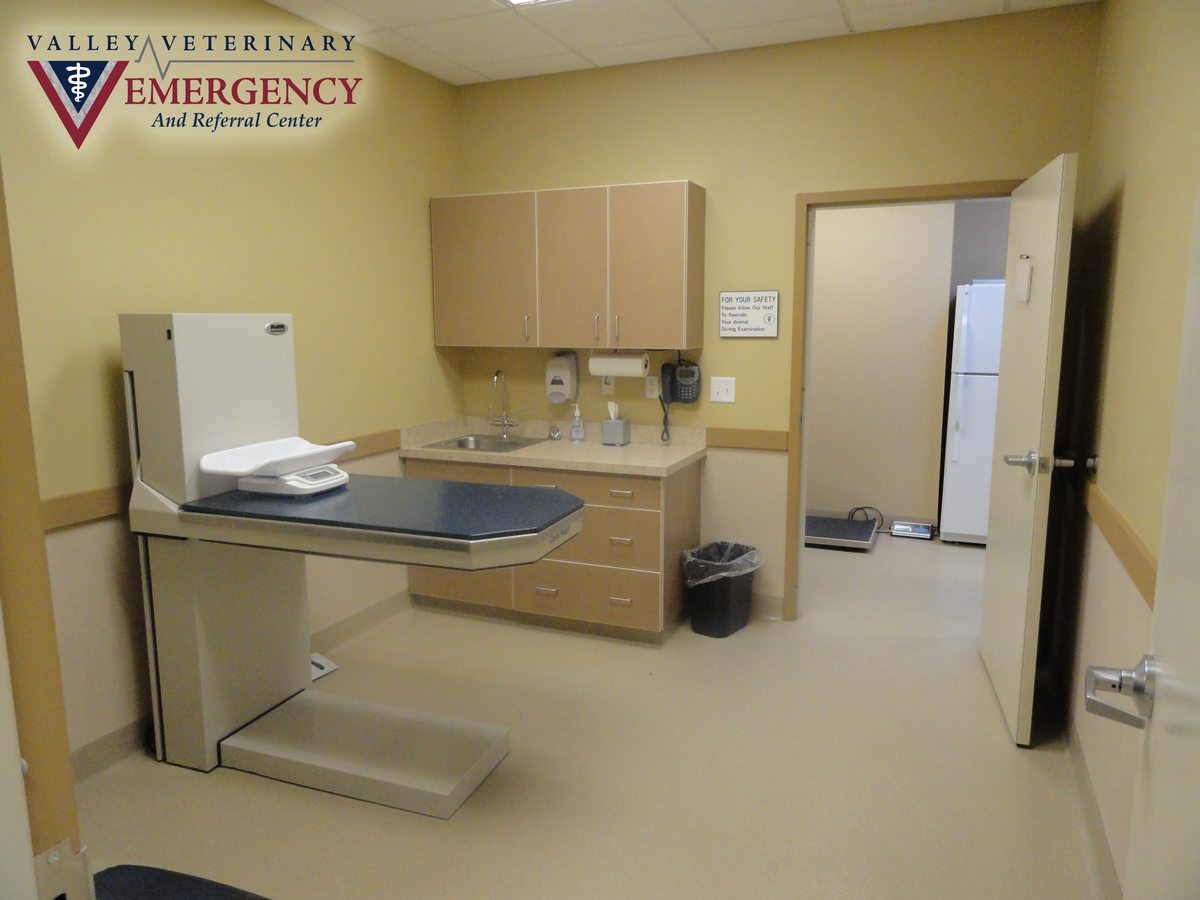 Valley Veterinary Emergency & Referral Center Photo