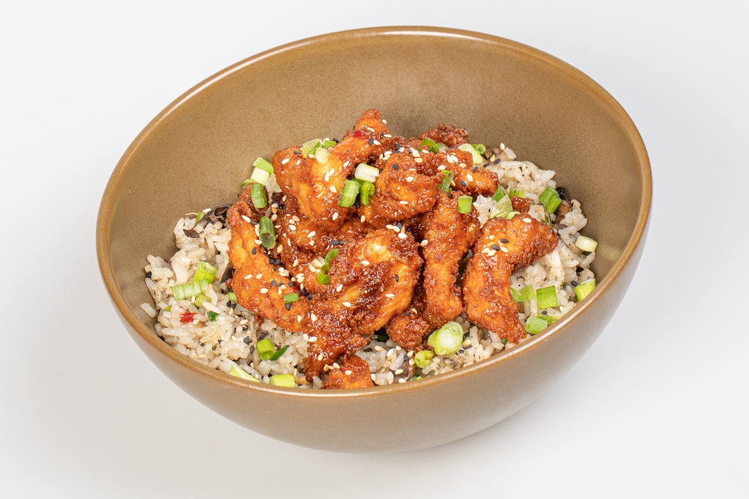 LS JAPANESE STYLE RICE WITH CHICKEN