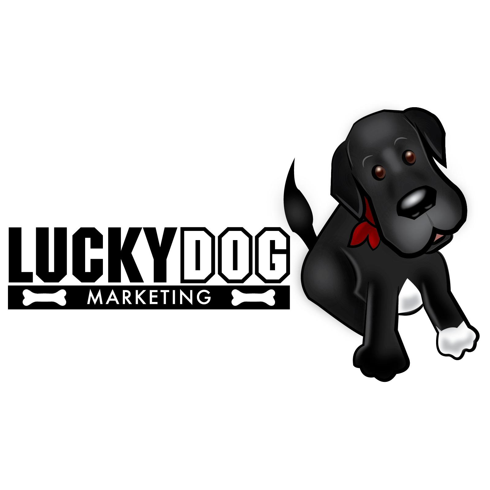 Lucky Dog Marketing Photo