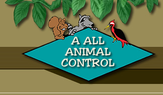 A All Animal Control of Kansas City Kansas, Overland Park, KS, Wildlife  Services - MapQuest