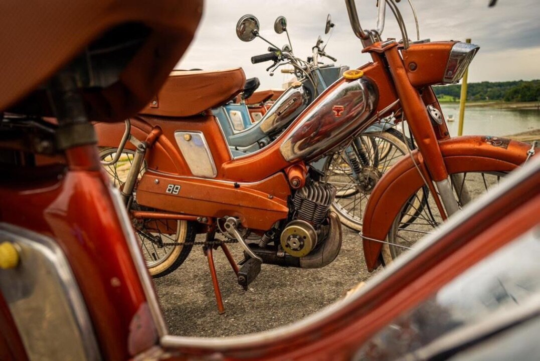 Miniature de la galerie