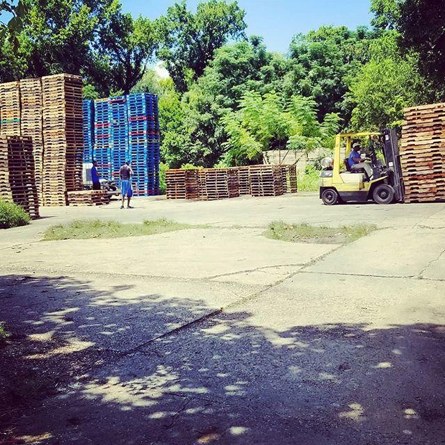 Wholesale Pallets and Crates Photo