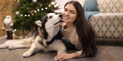 How to Safely Include Your Dog in Holiday Celebrations