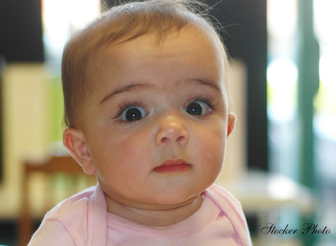 Stocker Photo & Printing-Graphics Image