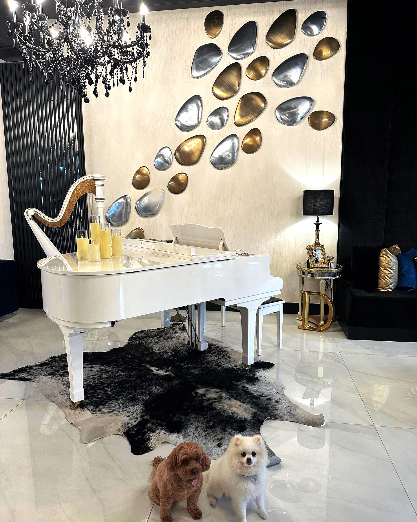 Lavish Interiors Image