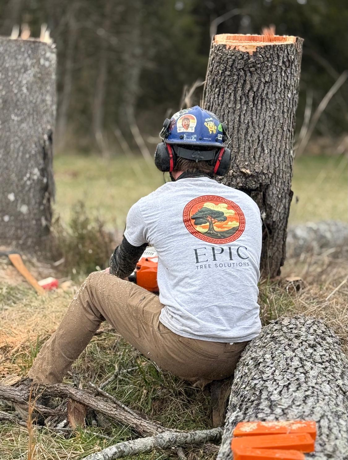 Epic Tree Solutions Image