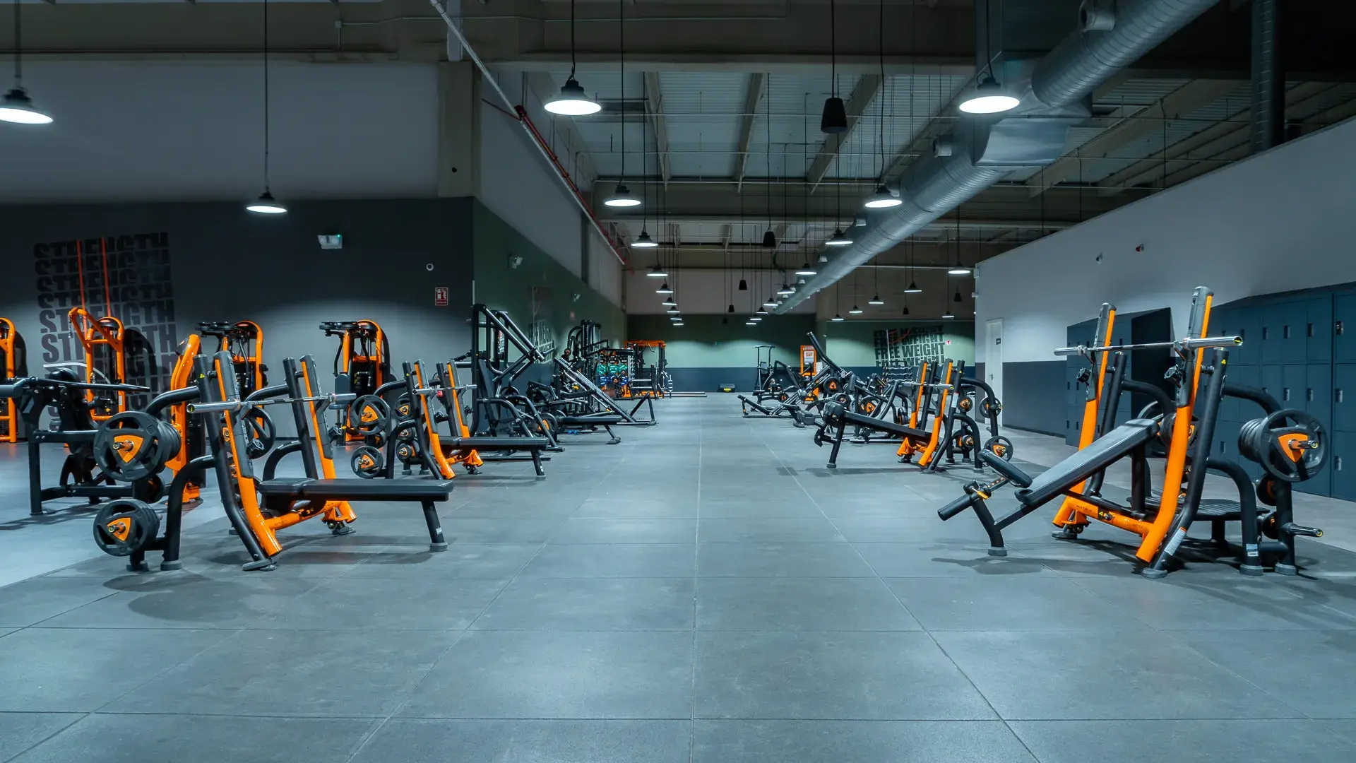 Galería de imágenes