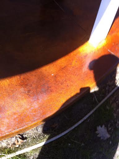 Saracina Concrete Image