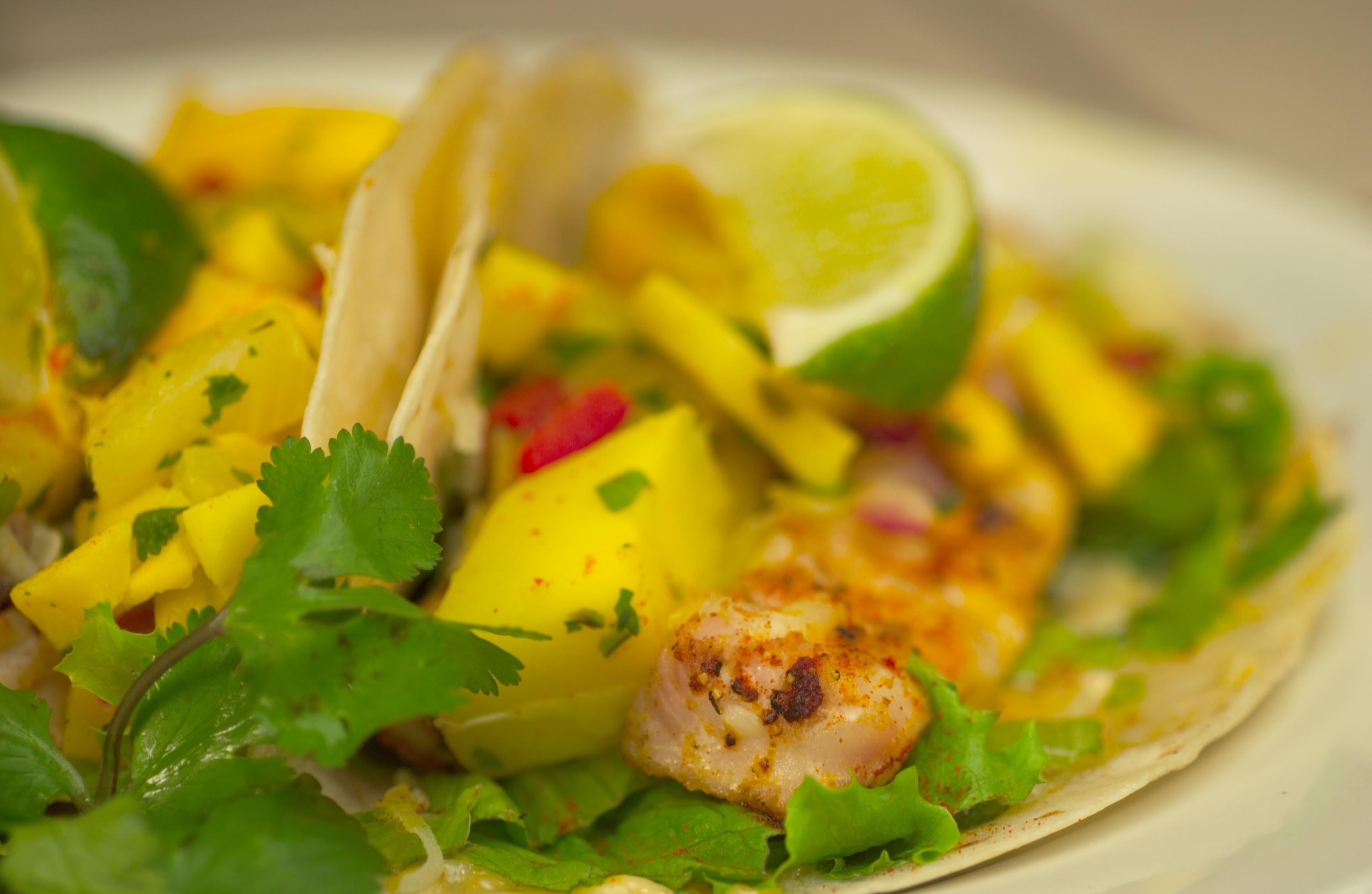 Salsa brava coupons