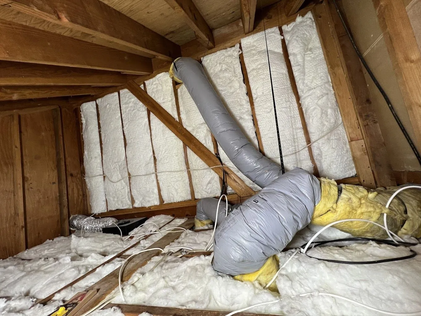 Attic Insulation Removal
