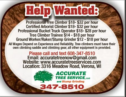 Accurate Tree Service & Stump Grinding, LLC Photo