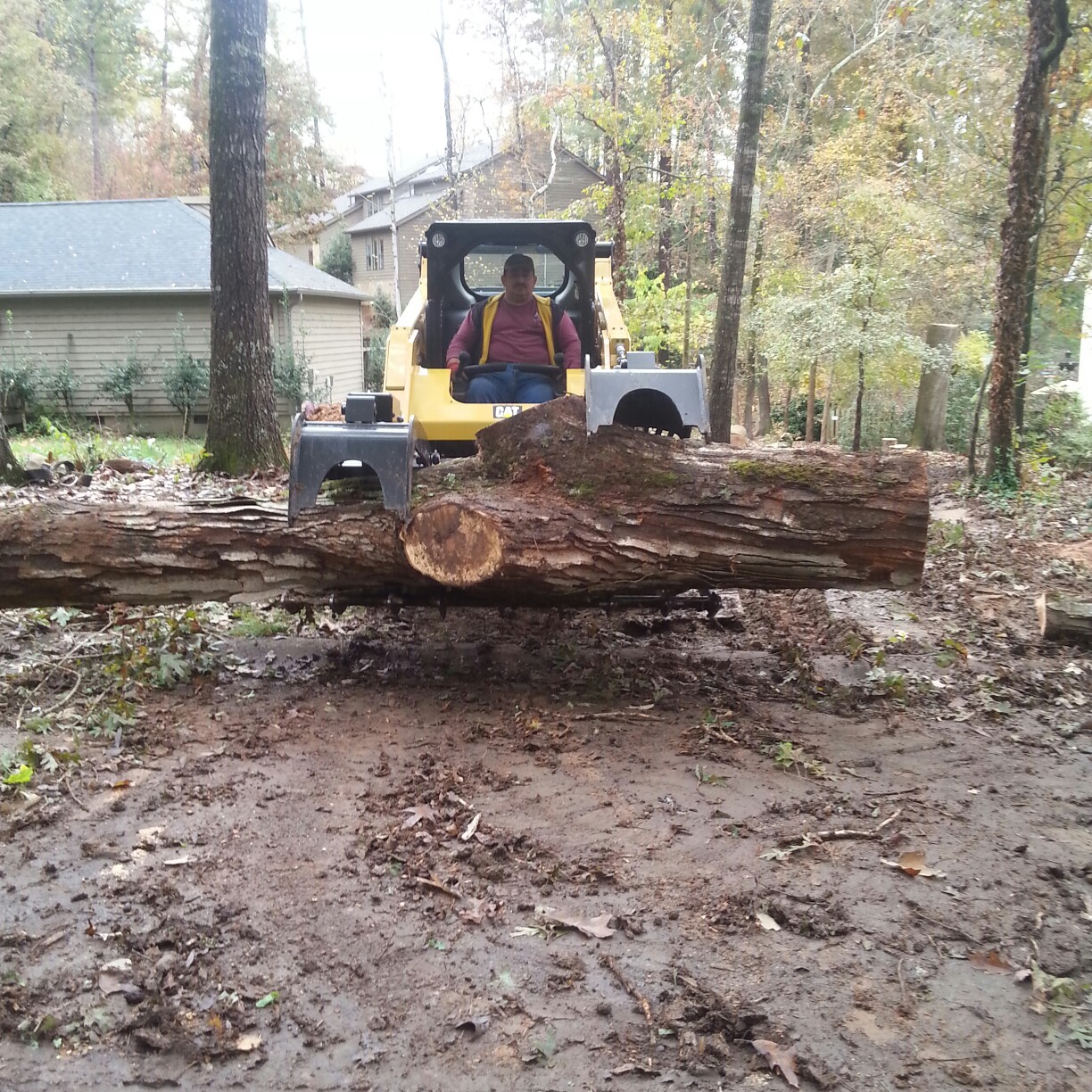 Su-Tree Service Image