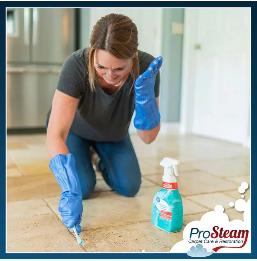 ProSteam Carpet Care Iowa Image