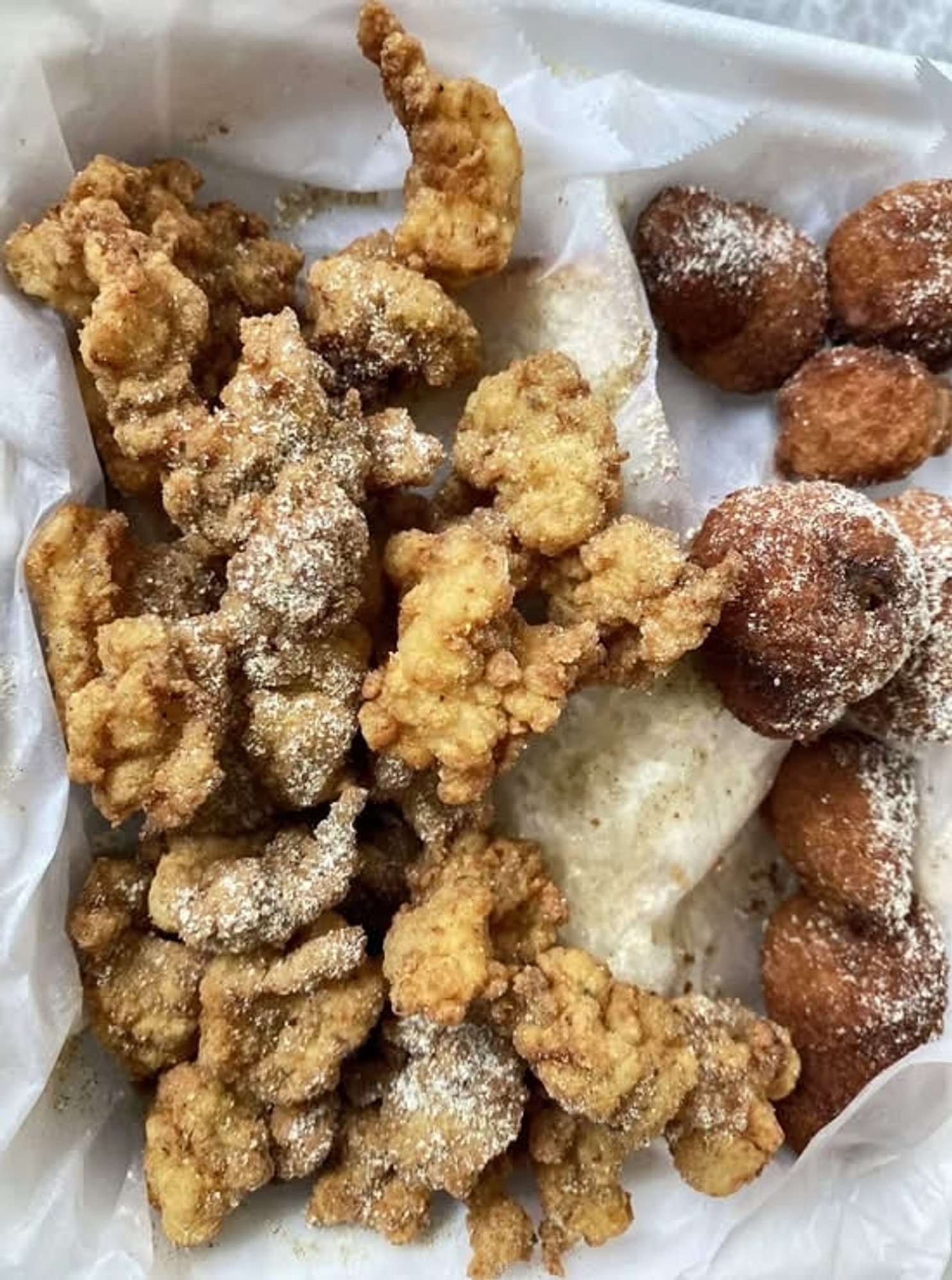 small Fried Conch Dinner