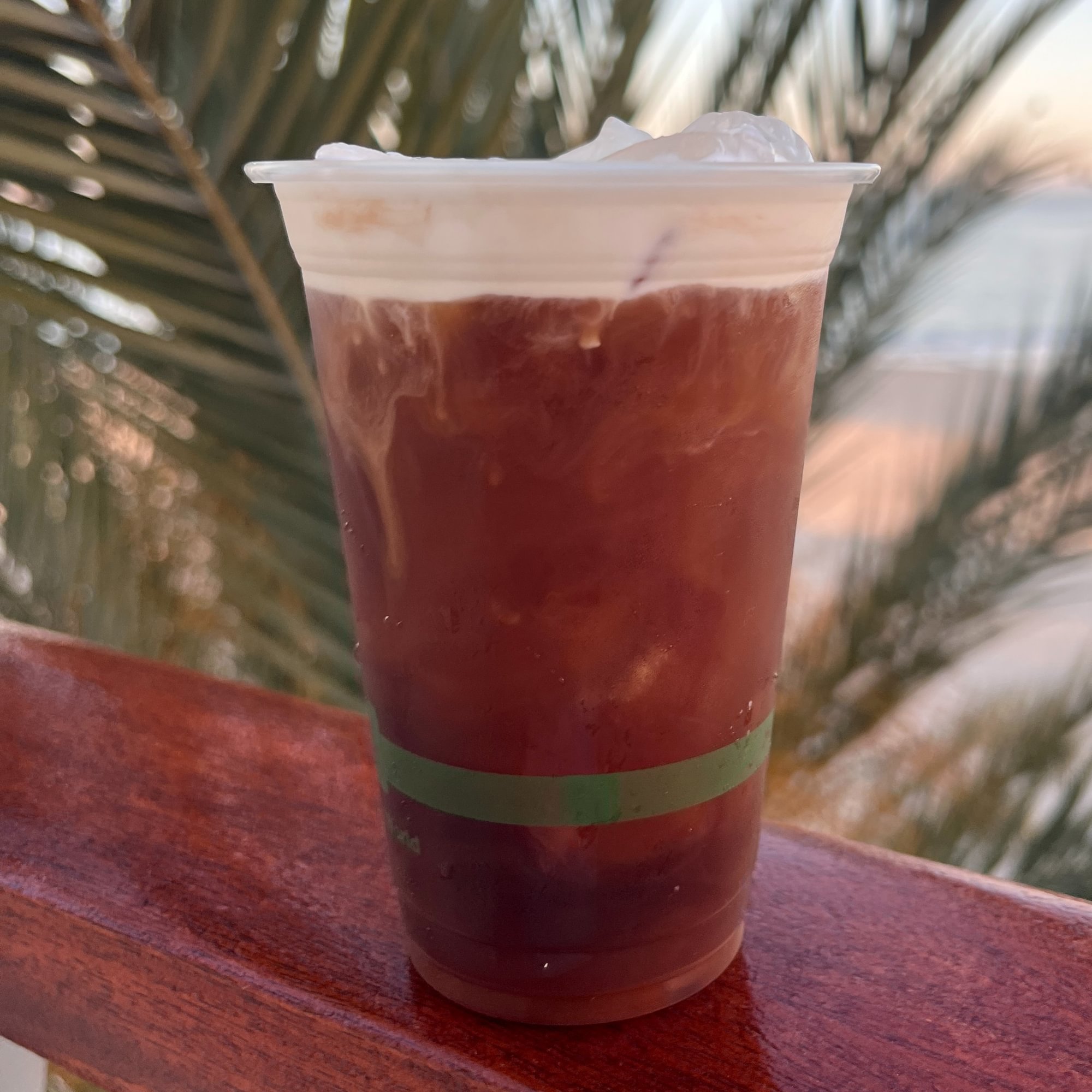 Iced Cold Brew Coffee