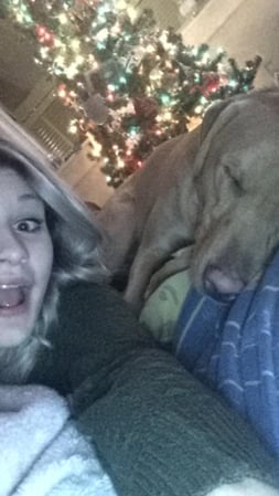 Images Meaghan's Pet Sitting & Dog Walking