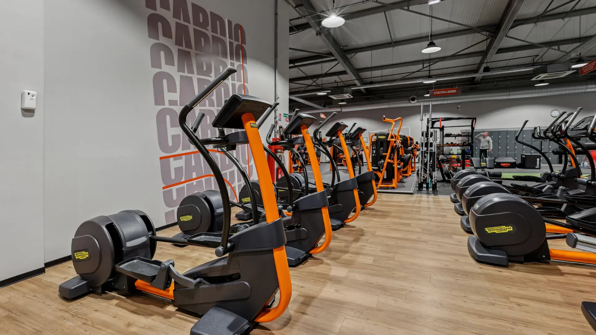 Miniature de la galerie