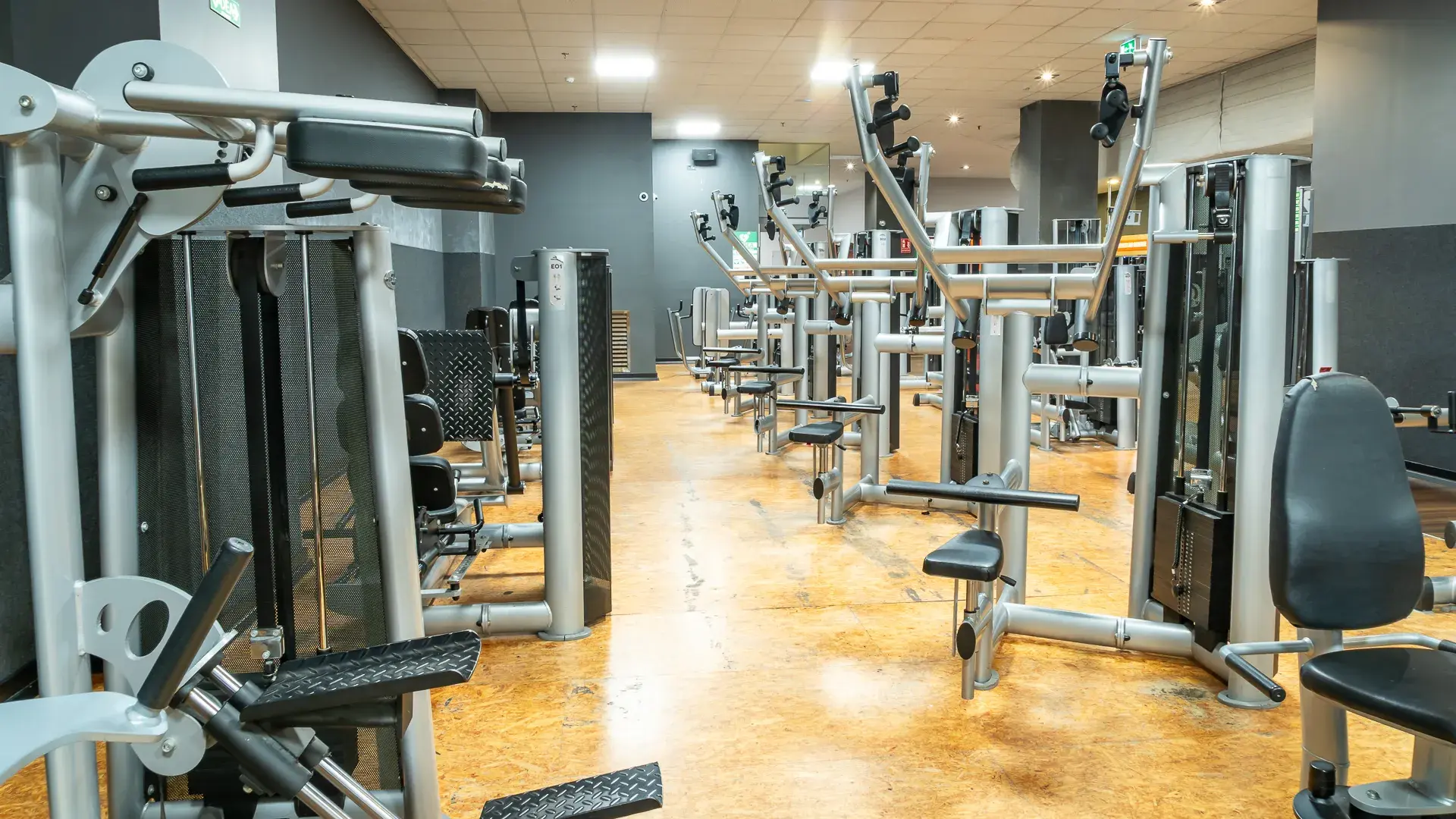 Galería de imágenes