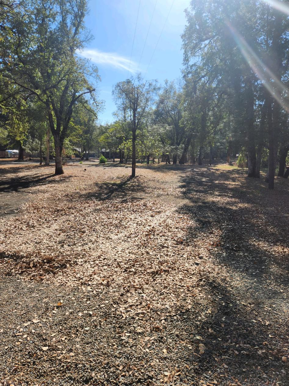 Hedrick Hauling and Junk Removal Image