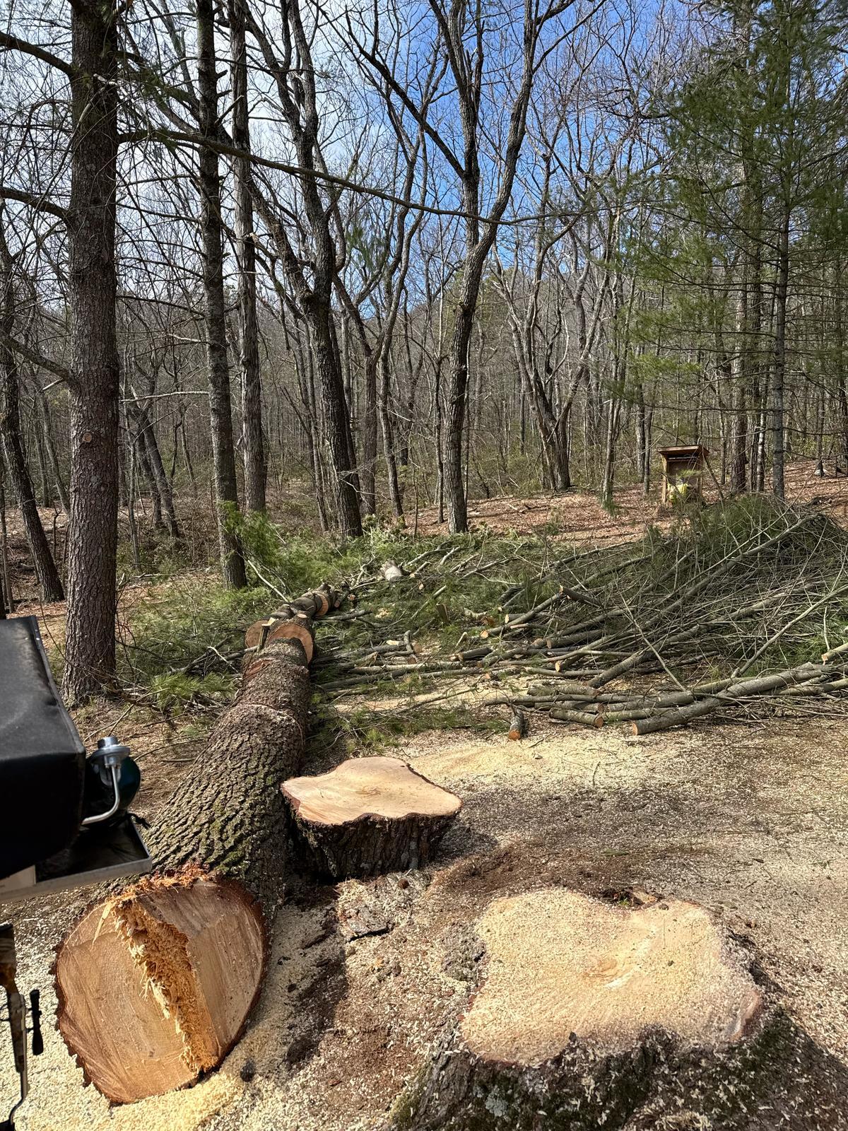 Y & VA TREE SERVICES LLC Image