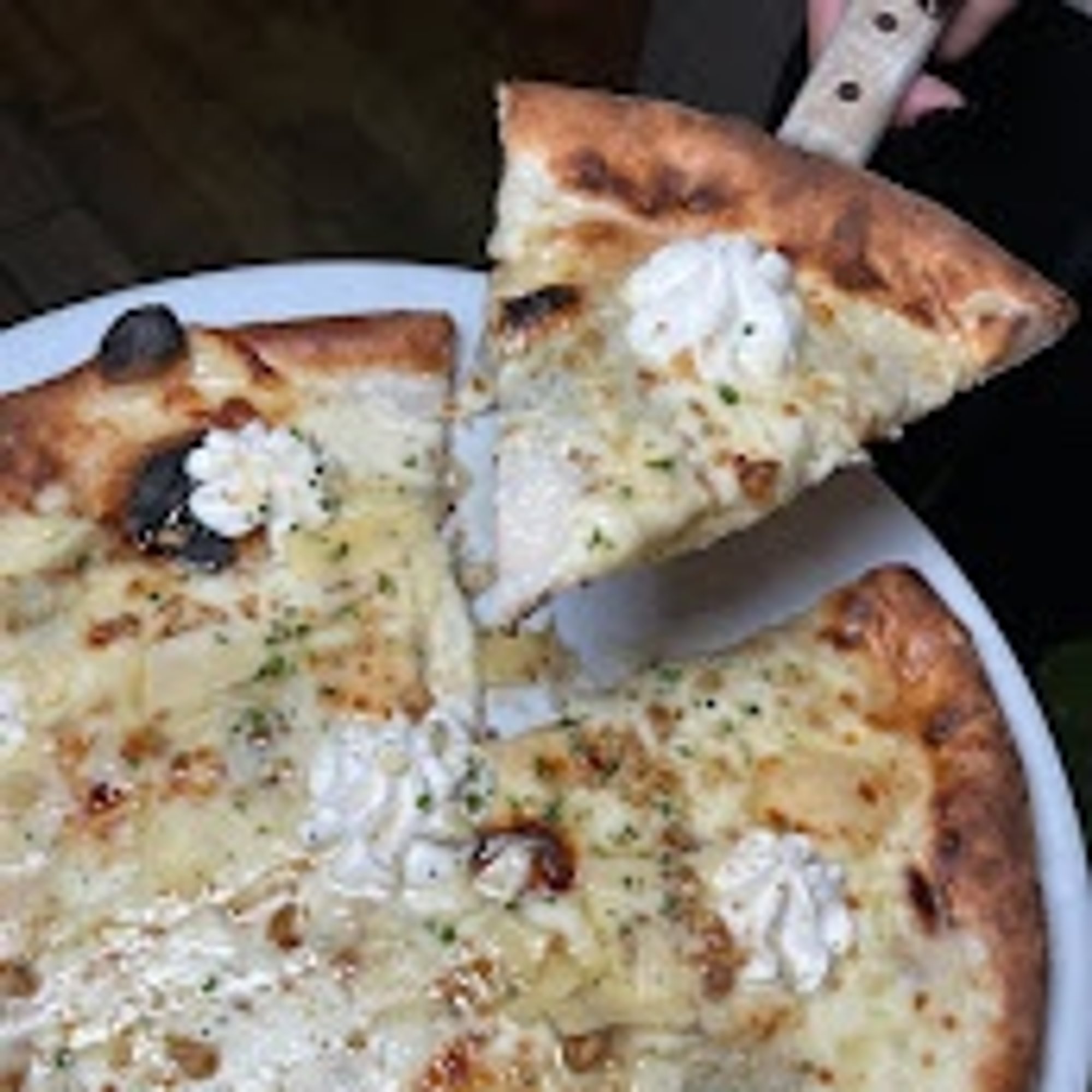 Four Cheese Pie